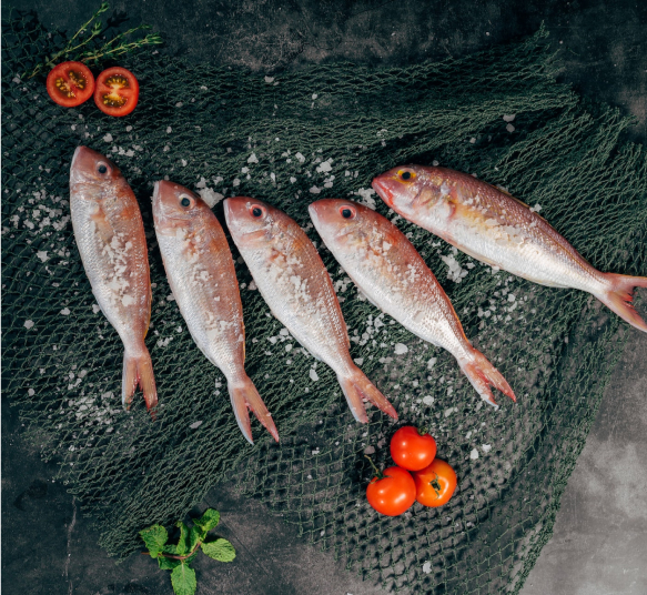 refeição de peixe restaurante o caneco